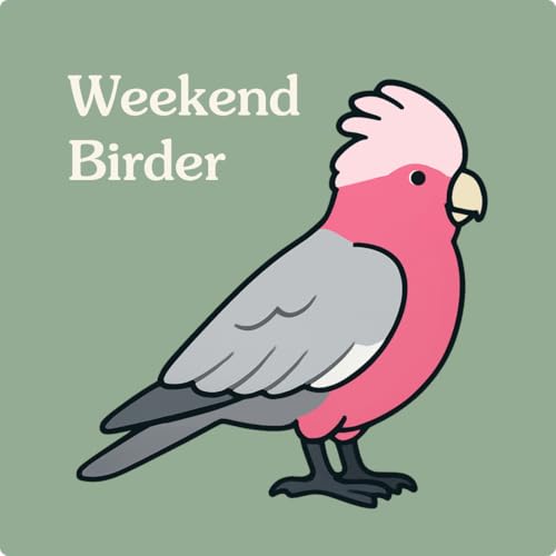 121 Bird Bird Bird - with Rove cover art