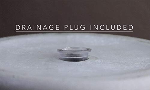 Willowy 6 Inch Ceramic Pot - Matte White With Gold Stripes - Drainage Plug Included #TOP5