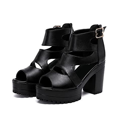 [XYJP] bV `L[q[ u[cT_ fB[X JWA 23.0cm r ubN 10cmq[  I[vgD `L[T_ V[X[ V[gu[c OJT_ t@bV ʋCK Lo 