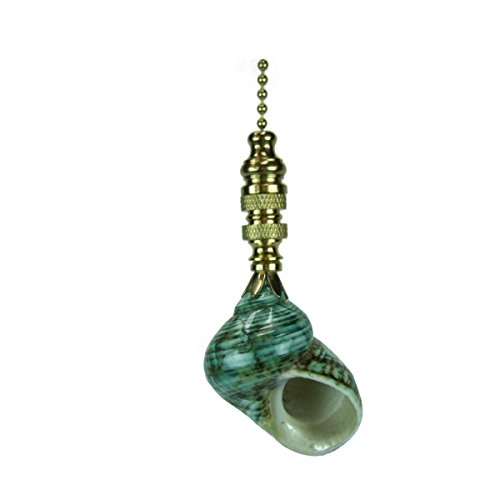 Image of Sea FoamTurbo Sea Shell Ceiling Fan Pull, 3 inch h with 12 inch Polished Brass Chain