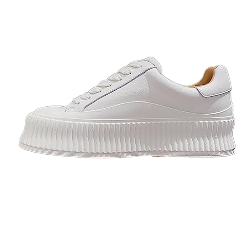 [LECMT] Xj[J[ fB[X X|[cV[Y C X|[c V[Y ~ r r zCg ₷ Ȃ 23.5cm ɂȂ ʋC Vv tbg w 傫TCY ʋ ʊw  NVbN