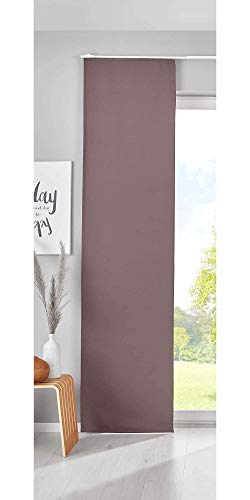 Gardinenbox Verdunkelung Schiebegardine »Newyork« HxB 225x60 cm Taupe Flächenvorhang Paneelwagen Blickdicht Thermo-Schiebevorhang, 202020680