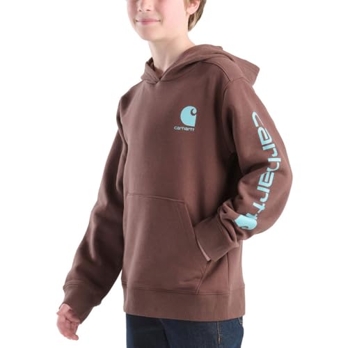 Image of Carhartt Kid's CA6272 Long-Sleeve Graphic Sweatshirt - Boys