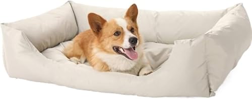 KryZaroM TCYO[ybgxbhiIbNXtH[hnj Lp\t@[^ hE􂦂݌v ^E^//qΉ I[V[YʋC ~ߕt