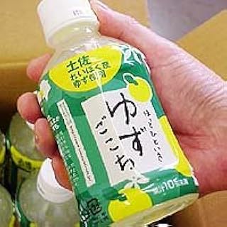 柚子ドリンク(ペットボトル)　ゆずごこち×24本入セット 嶺北の柚子使用