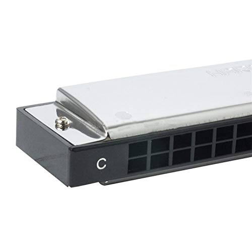 KIRANDIE Harmonica 24 Trous Key C Instruments de Musique for débutant (Color : Key DB) - Les Beatles, Paul McCartney, John Lennon, RIngo Starr, George Harrison KIRANDIE Harmonica 24 Trous Key C Instruments de Musique for débutant (Color : Key DB) – Image 6