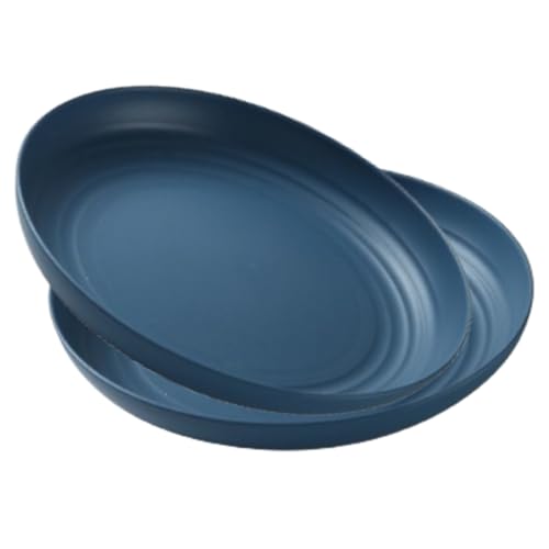 Image of YANCI 20 cm Large Deep Plastic Plates, Unbreakable and Reusable Light Weight Dinner Plates Pasta and Dumpling Bowl Microwave Safe BPA Free Dishwasher Safe, Set of 2, Blue