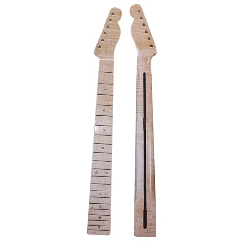 LM^[lbN TLM^[ANZT[p^CK[OCObV[CvlbN