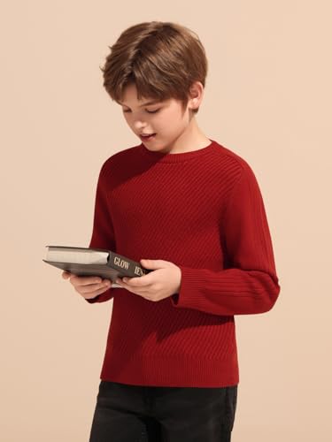 Haloumoning Boys Texture Sweater Kids Crewneck Long Sleeve Knit Pullover Sweater Fall Winter Clothes 5-14 Years4