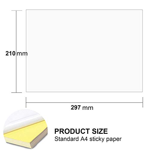 Featured image of post Papier Millim tr Imprimer Clair
