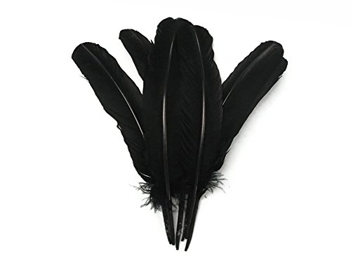 Moonlight Feather | 50 Pieces - Turkey Feathers - Black Turkey Round Wing Quill Large Wholesale Feathers (Bulk) Halloween, Indian Craft, Wedding, Angel Wing Feathers