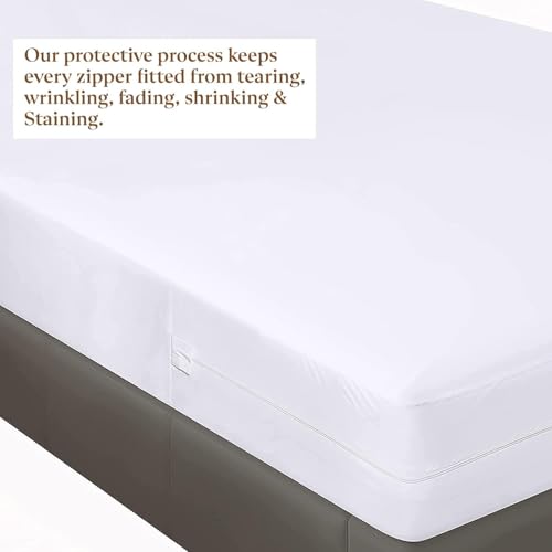Image of Zippered Chain 75 inchx36 inchx10 inch Terry Cotton Waterproof Mattress Protector | Dust Mite Proof, Bed Bug Protection Mattress Cover for Single Bed Size with 10 inch Drop Thick (75x36x10 inch,White)