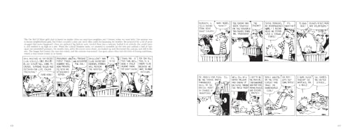 Image of The Calvin and Hobbes Tenth Anniversary Book