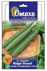 Omaxe Seeds Ridge Gourd F1 Hybrid (B07FF54FCJ) Amazon Price History, Amazon Price Tracker