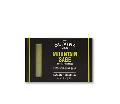 6 Ounce Exfoliating Body Bath Bar Soap (2 pack, Mountain Sage)