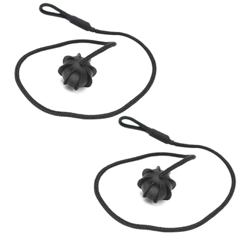 Cuerda Maletero Coche LR025716 para Rover Evoque L538 Cubierta Carga