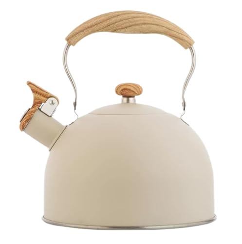 Bouilloire à sifflet anti-brûlure 2.5 L en acier inoxydable blanc de sécurité