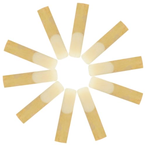 LOLIPPYY 20 ei[TL\z[h x25 TL\z[hp yANZT[