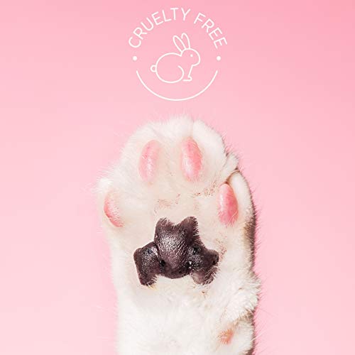 Bioré Rose Quartz + Charcoal Gentle Marshmallow Foam Cleanser, Daily Foaming Face Wash, 5 Ounces, Oil Free, Dermatologist Tested, Non-Comedogenic, Cruelty Free, Vegan Friendly #TOP3