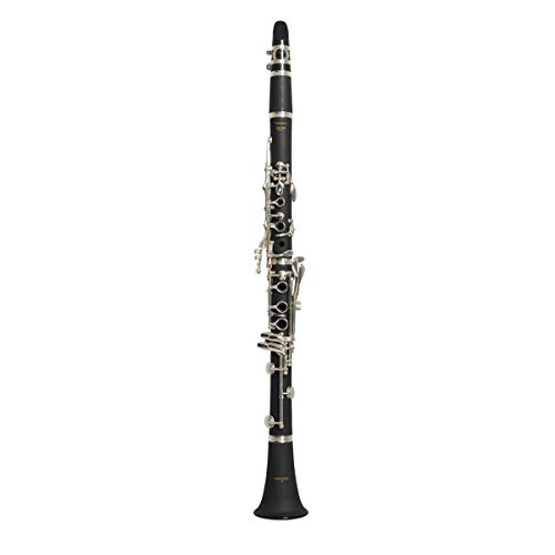 Qual a Melhor Flauta Doce de 2025? Melhores Ranking 11 CLARINETE VOGGA VSCL702N