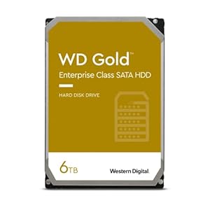 Western Digital 6TB WD Gold Enterprise Class Internal Hard Drive – 7200 RPM Class, SATA 6 Gb/s, 256 MB Cache, 3.5″ – WD6003FRYZ