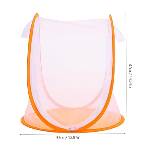 Maison pliable élevage papillons pour observer la biodiversité
