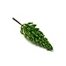 50 Pieces Miniature Tree Model Train Railroad Scene Landscape Scale OO HO N Z War Game Sandbox Layout Accessories(A)