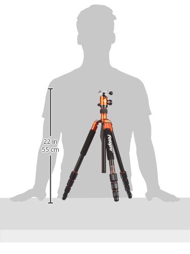 Amazon | Fotopro C5i 62インチ 折りたたみ式一脚/三脚 FPH-52Qボール  
