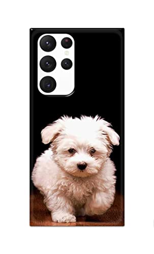 Image of PRINTFIDAA� Printed Hard Back Cover Case for Samsung Galaxy S22 Ultra 5G Back Cover (Puppy Dog) -2808