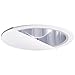 Nora Lighting NTA-87-Specular Clear Cone Reflector Wall Wash, White Eyelid and Ring