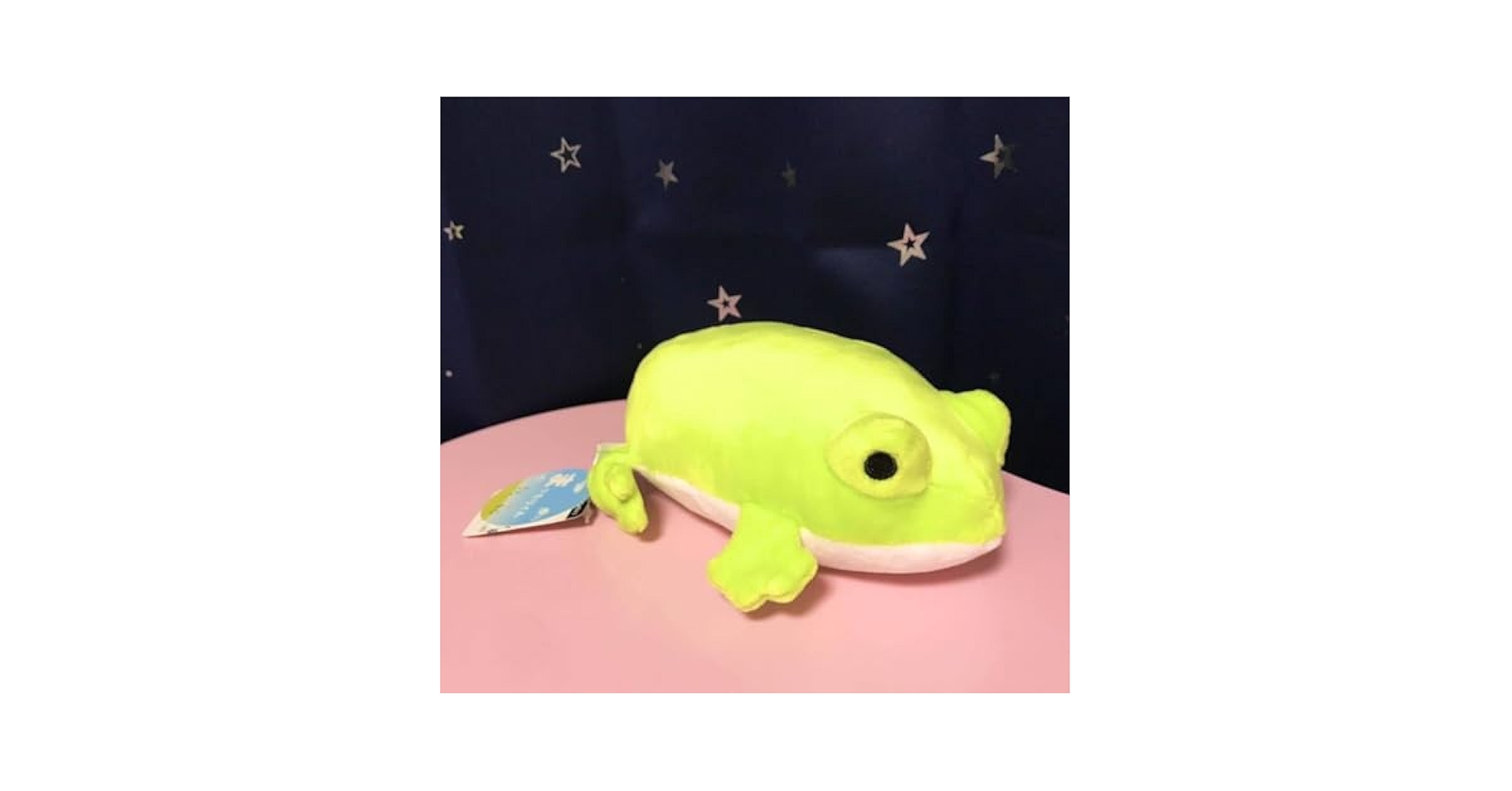 misamisa⭐︎カエルのぬいぐるみ 6体セット misamisa様専用⭐︎カエルのぬいぐるみ 6体セット
