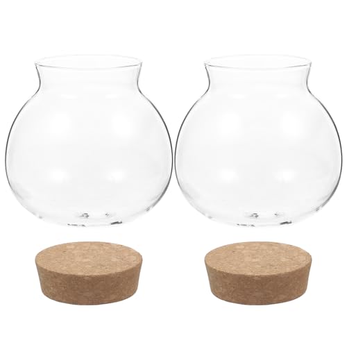 BUTIFULSIC 2 \ȋ`KXW[ ؐRNWt Lb`pLfB[ ۑe َq ibc t̑Nێ