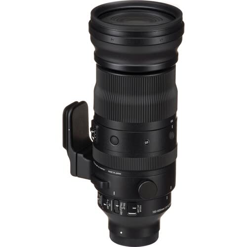 Amazon.com : Sigma 150-600mm f5-6.3 DG DN OS Sports Lens for Sony