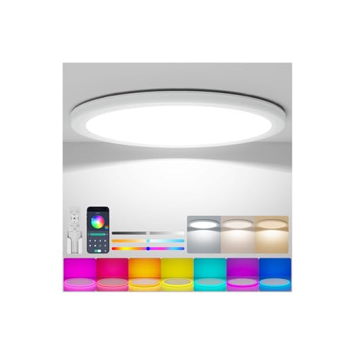 Coizabera LEDV[OCg 10 5200LM ԐڌRGB F ɔ^ VƖ  dC u ͋CCg Rt Ceiling Light 10Q/rO/_CjO/q/Q[[Kp