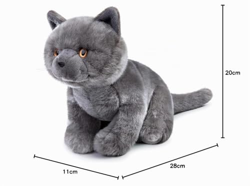 lilizzhoumax Britisch Kurzhaar bk Kuscheltier Katze plüschtier 28cm Simuliertes Tier Spielzeug Katze Kawaii Realistische Plüsch Spielzeug für Wilde Tiere, Geschenk für Freunde und Kinder