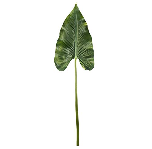 EUROCINSA Ref.69065C54 ALOCACIA GREEN SHEET, Box of 12pcs, 110cm
