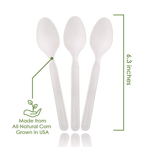 100% Compostable Spoons - 500 Large Disposable Utensils (6.5 In.) Bulk Size Eco Friendly Durable And Heat Resistant Alternative To Plastic Spoons With Convenient Tray By Ecovita #TOP2