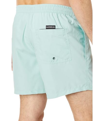 Quiksilver Everyday Vert 16" Volley3