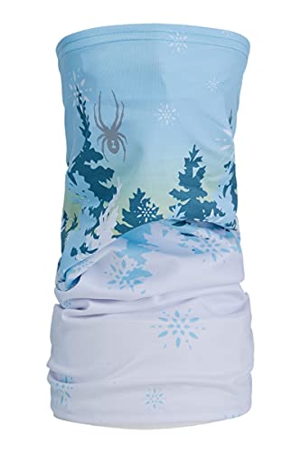 Spyder Active Sports Unisex-Adult Cruise Tube Neck Gaiter, Frost, ONE SIZE