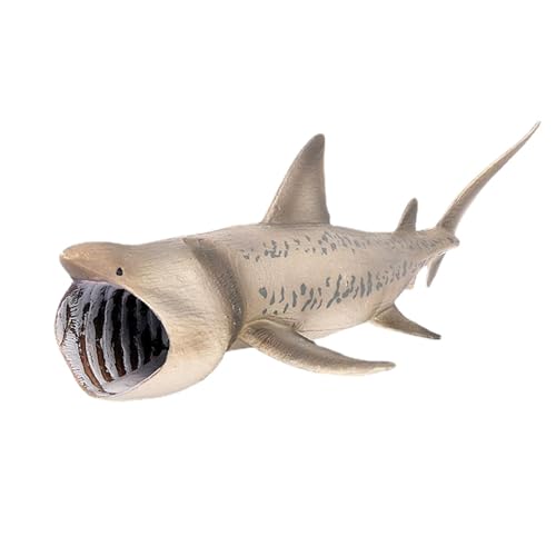 Juego de figuras de tiburón realistas – Juguete de animales marinos, figura de tiburón realista para bañarse | Animales marinos, juguetes educativos, juguetes de tiburón gigante, decoración para