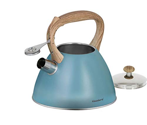 Bouilloire Sifflante 3 L Pour Cuisinière à Induction, Gaz