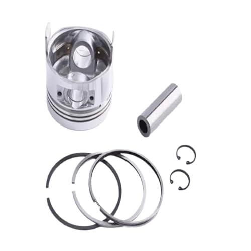 マイクロ耕うん機 空冷式ディーゼルエンジン発電機 ピストンリングアセンブリ 170F 173f 178F 186F 188F 192F 195F 198F ??TY(170F Assembly)