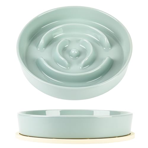 Ceramic Slow Feed Dog Bowl with Silicone Mat, 23 oz, 8.5 in, for Medium and Large Dogs (Light Green)