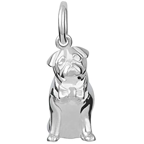 Lily Charmed - Colgante de plata de ley Cover