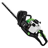 SYNERGY PROFESSIONAL LIFE