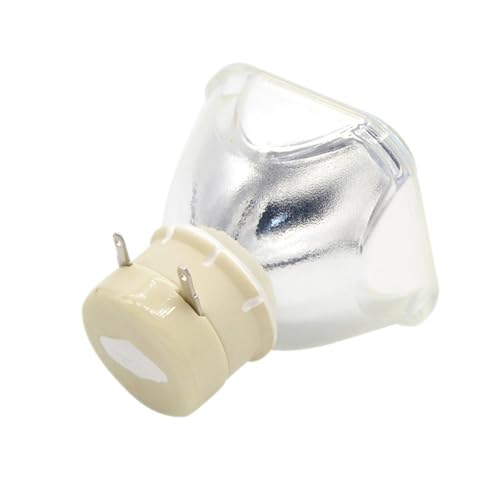 Lampe DT01511 pour réparer l'image terne des CP-CX250 et CX300WN