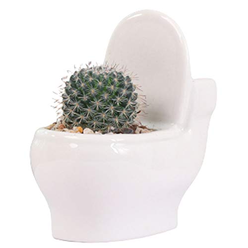 MONMOB Ceramic Toilet Plant Pot/Bonsai Pot/Flower Pot/Succulent Planter White (4.6ā)