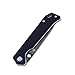 Kizer Cutlery Folding Pocket Knife Liner Lock Black G10 Handles knife,Kizer Begleiter V4458A1