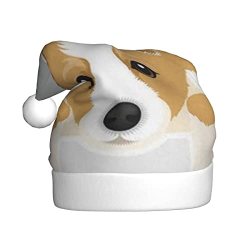 DANLIM Sombrero de Navidad para perro, suave, perezoso, cálido, para mujer, sombrero de invierno, sombrero neutro, adecuado para adolescentes, adultos