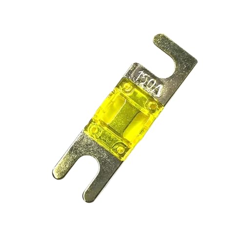 Fusible de voiture 20A 30A 50A 80A 100A pour amplificateur et tuning audio